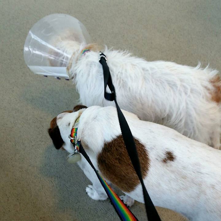 D30df3cd 5755 43eb 8e7d 5f6c322cf78e