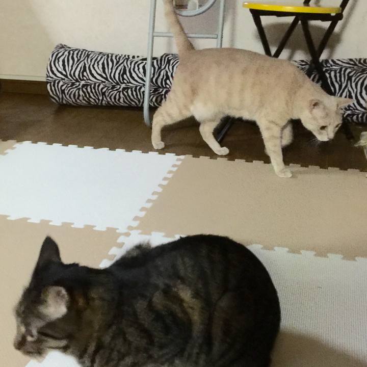 D30e0df1 6ef9 4eb5 9ace 69fa7636f90f