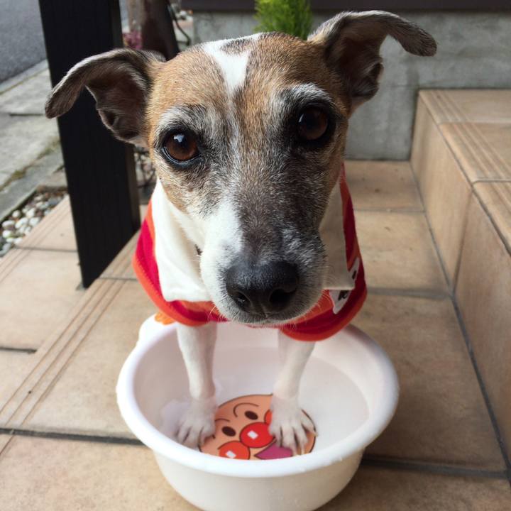 D30e6626 274b 4b9c 96c4 3e9441453c76