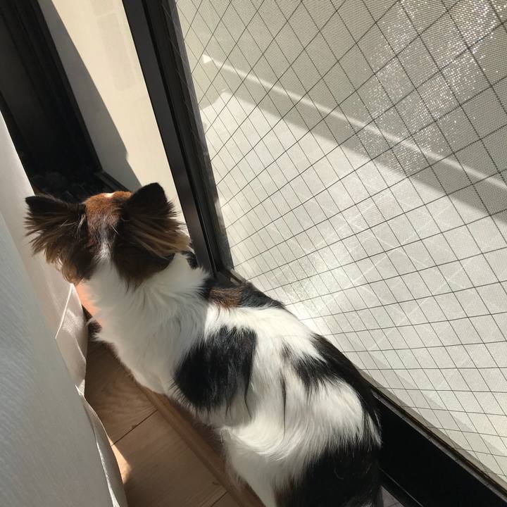 D30f3e75 5fa5 42e5 9e77 6fa999bba42c