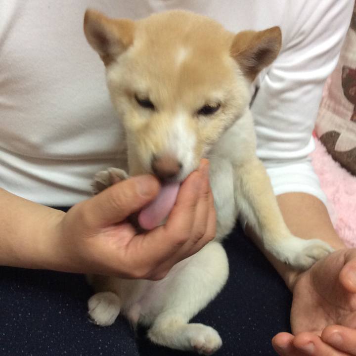 D310134e 3eee 428a ba91 499bf969ecd0