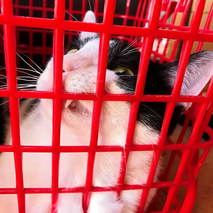 D3106104 4c30 4996 b685 f2f21f018e7e