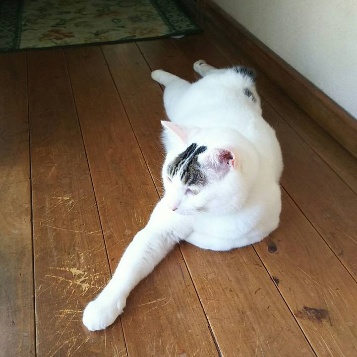 D3119643 9c9b 44aa a390 e25ec27afa9d