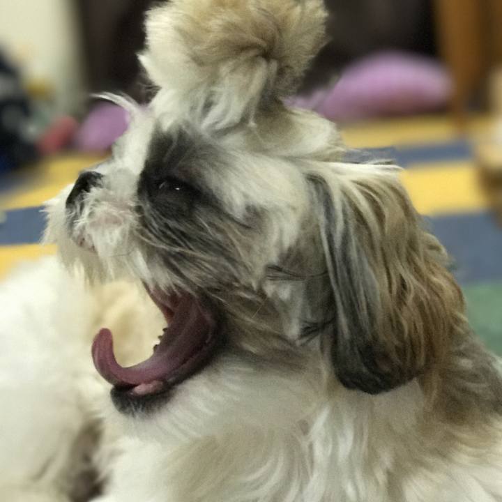 D312a8eb f665 455f 804c f7df59cddd58