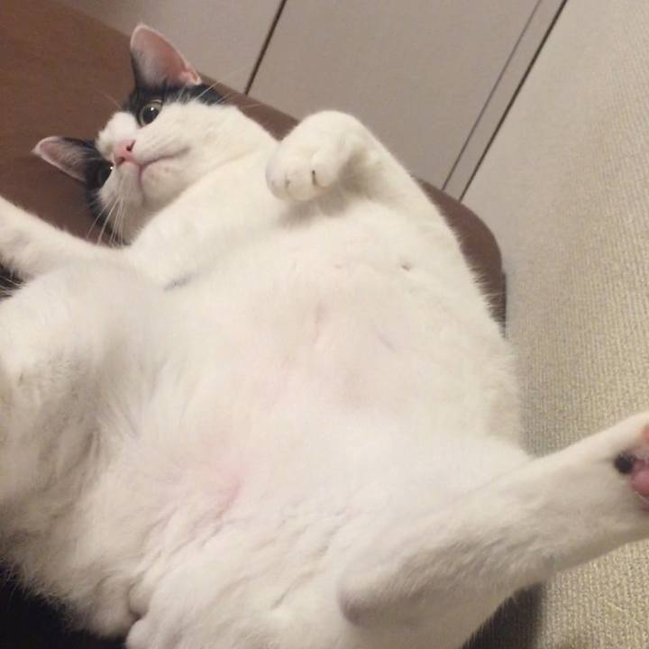 D312af57 6437 4de0 9b1a bf51e57d271f