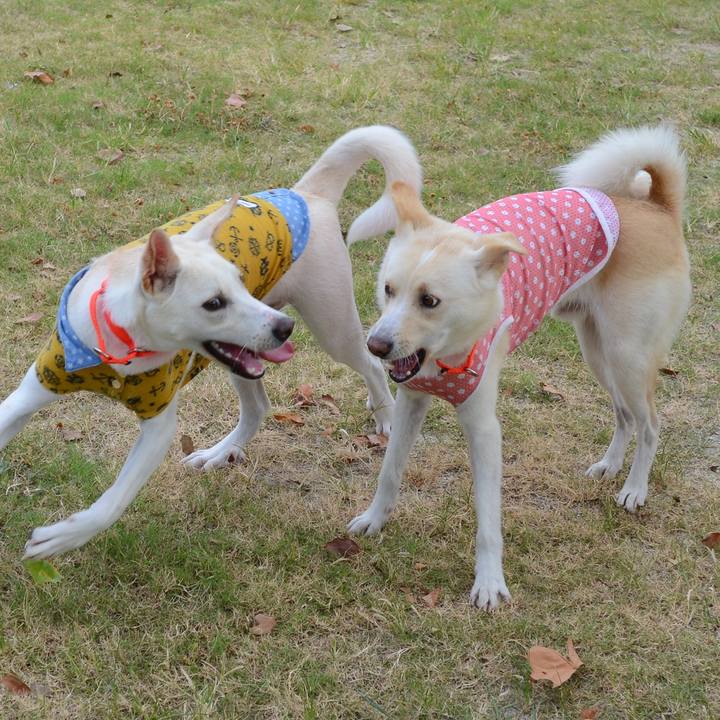 D3131733 b736 41ed bd48 18d3e64f9fd6