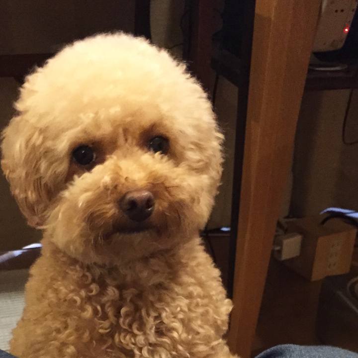 D31322f8 e038 48f9 8166 d4db5bfd9b55