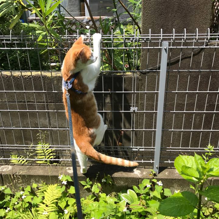 D3134114 cddb 46f1 8f29 f13a1e6453d7