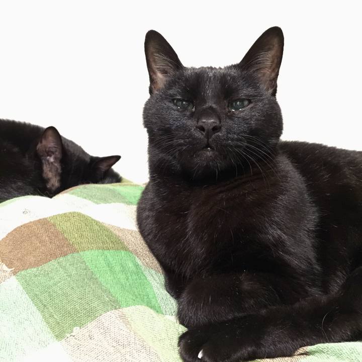 D3137fa9 8346 4c0e 99ab abd2cfa2ba4f