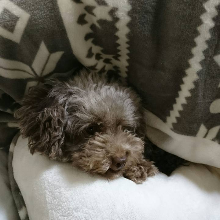 D313dcd7 63ae 4f24 b002 c2034bd72c1b