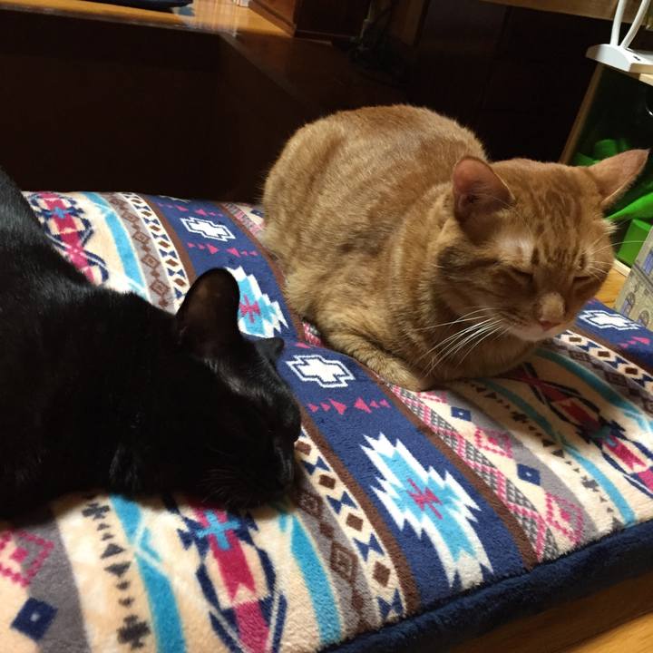 D313dfed a80a 4aca 91ec 75eb42fa4760