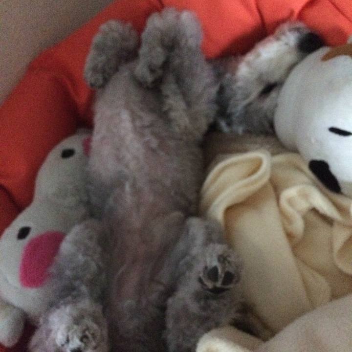 D3141736 026a 449d 9523 3e4a55a44f74