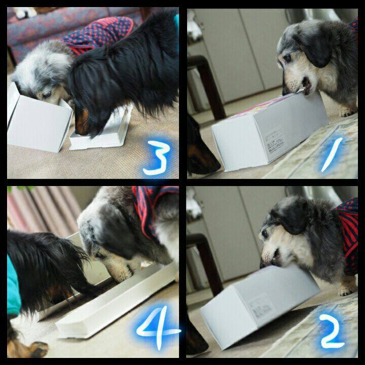 D3142376 a726 4a1a ae1d ebfd86554737