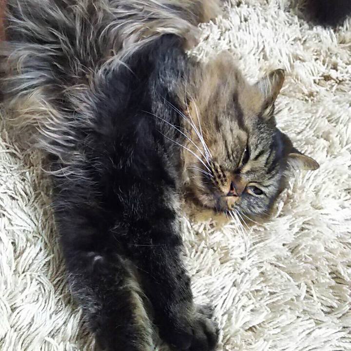 D314d5eb 7173 4cd2 9f2e 9191d1dbc118