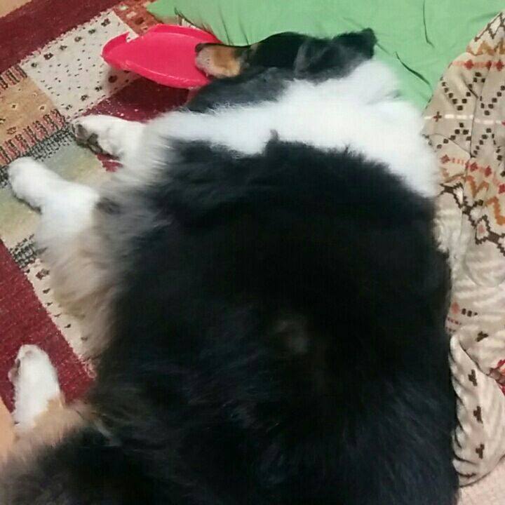 D31507f8 f187 4d6c 8fbd 1c1a3c4819d8