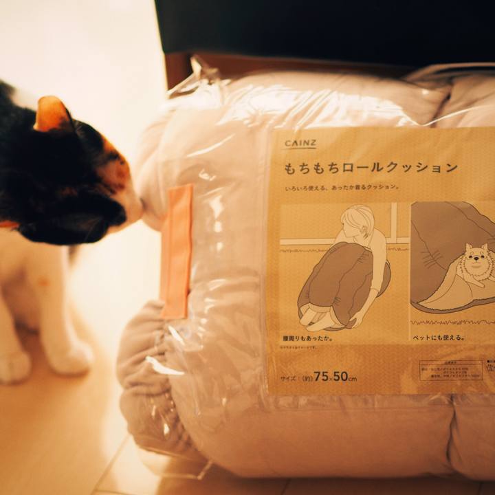 D3165605 a63d 4d5c b816 3b1690fc3939