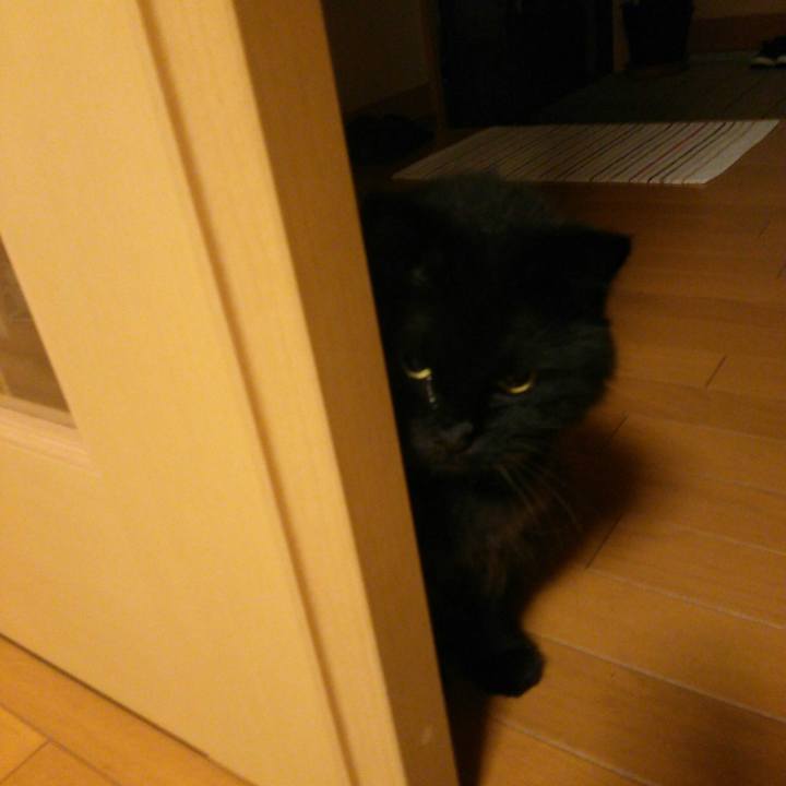 D3166561 9ebb 46c0 b0b9 aa5210854f39