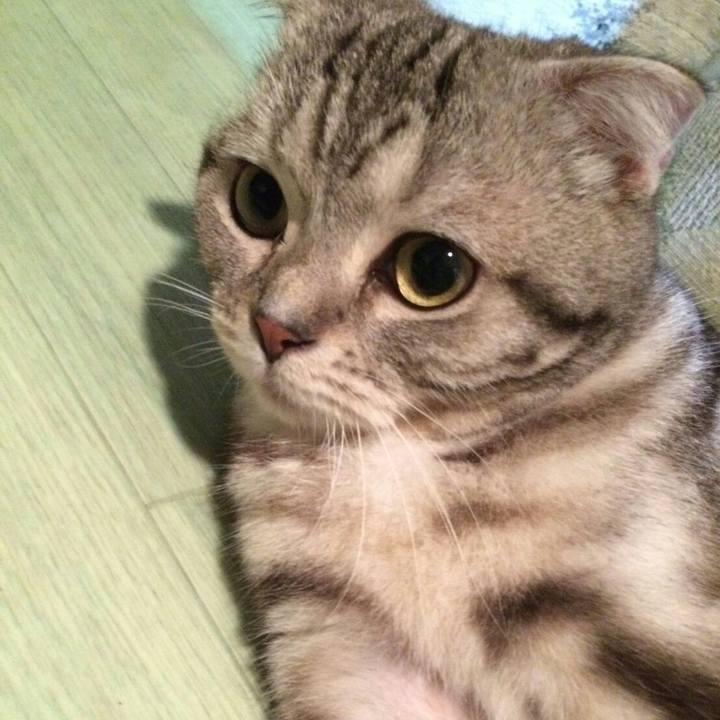 D31669b5 46d9 4f40 8198 bee7e3fb8dea