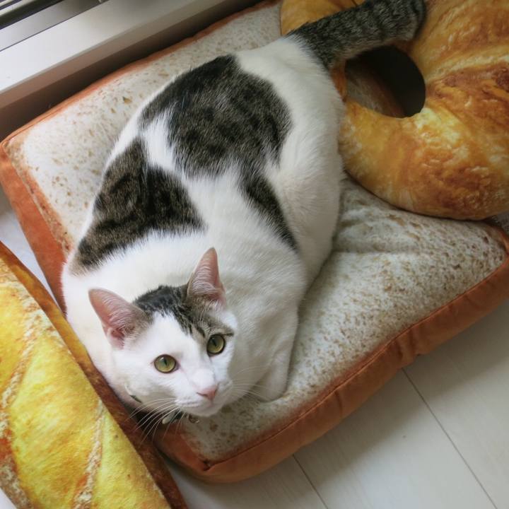 D316fb69 4e4e 44f7 93ec 5f5583f35386