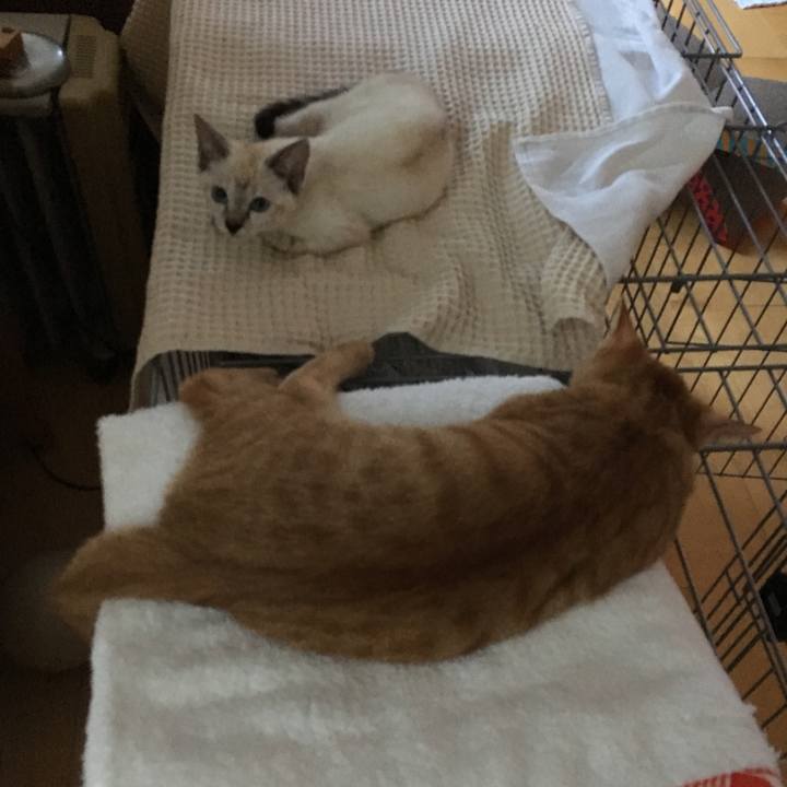 D3170ade f613 4bcc be2d 5f81c3aa2755