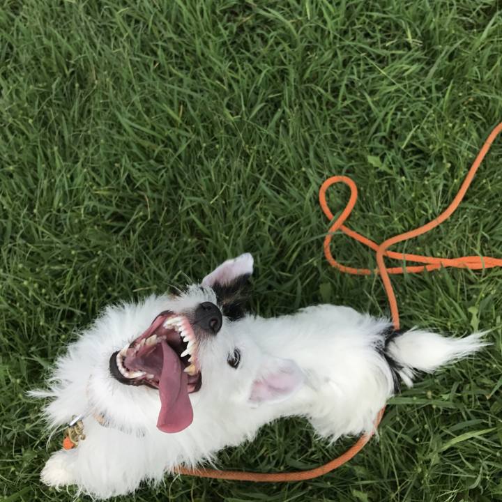 D317b8ed f0a8 439d 8e22 53b2b6ca0165