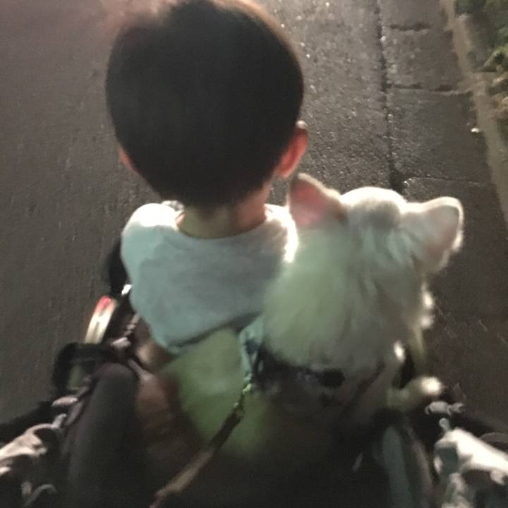 D317c149 e559 44fb 8c71 e518b105bb3f