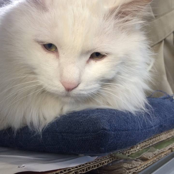 D317c97f 8c91 4ee0 8d66 0ec3990ca071