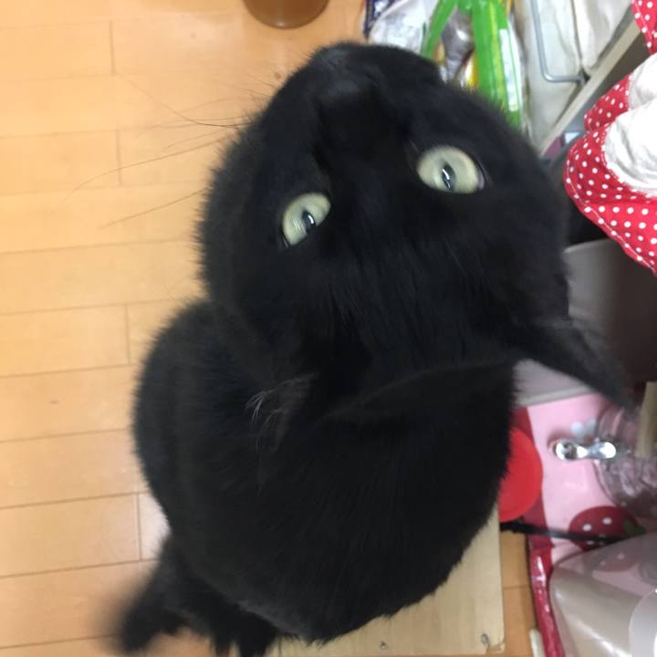 D318dc08 7c47 4c56 af55 b794bc2702e8