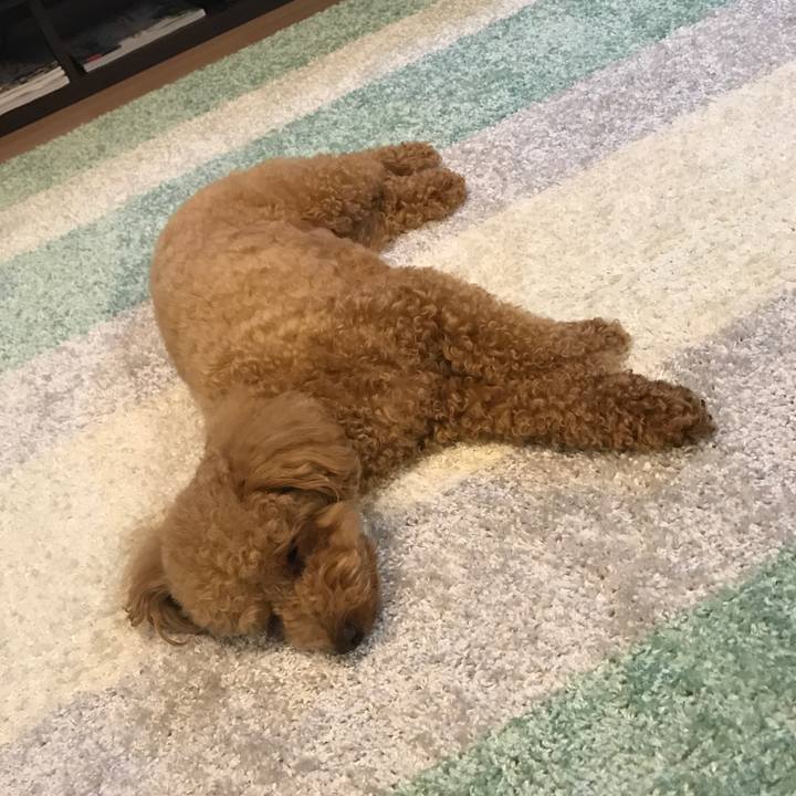 D319093b e9ae 42a7 8947 ecdf688d8345