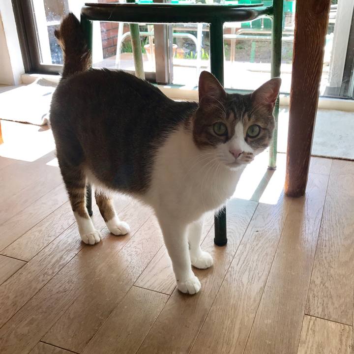 D3193999 e309 496f 8e30 dad7e9aff33d