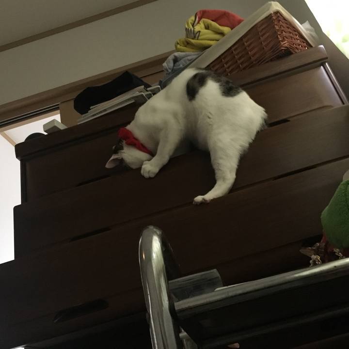 D319b8c8 7148 4de2 ac32 796b231f8029