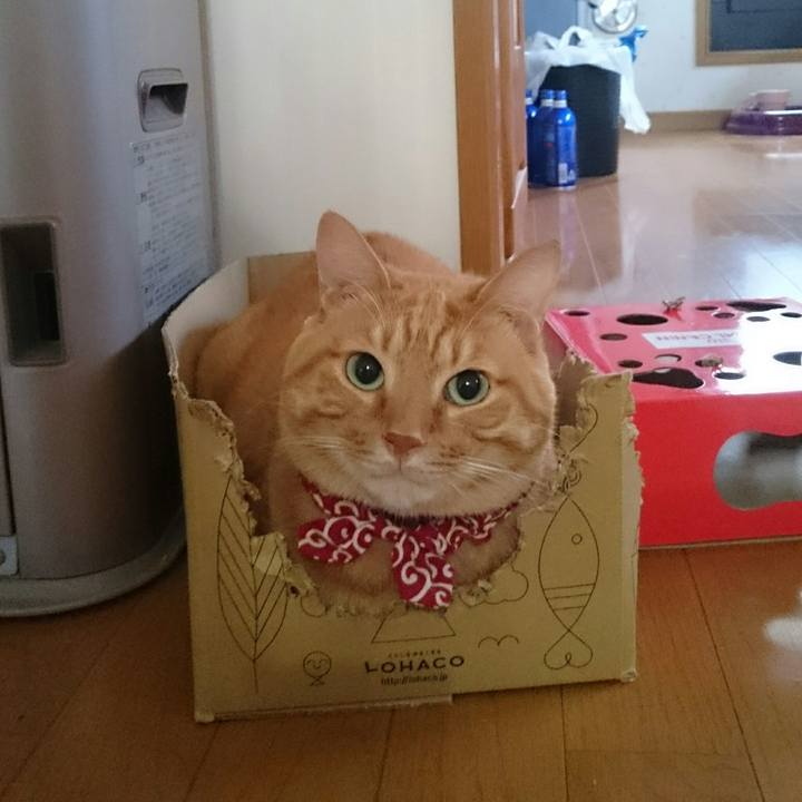 D31a1207 2e90 4c14 bcac 829282e72801