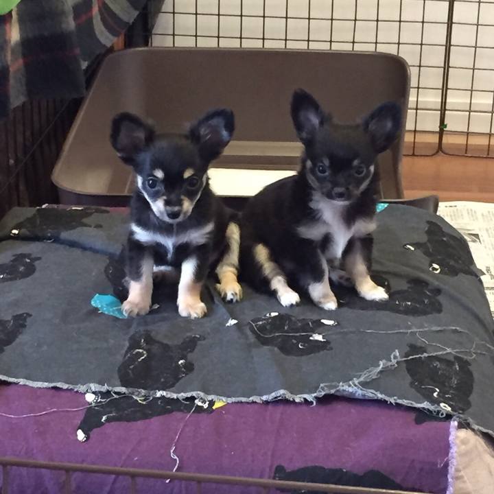 D31a1413 eecd 4697 9d5b 80583da2956a