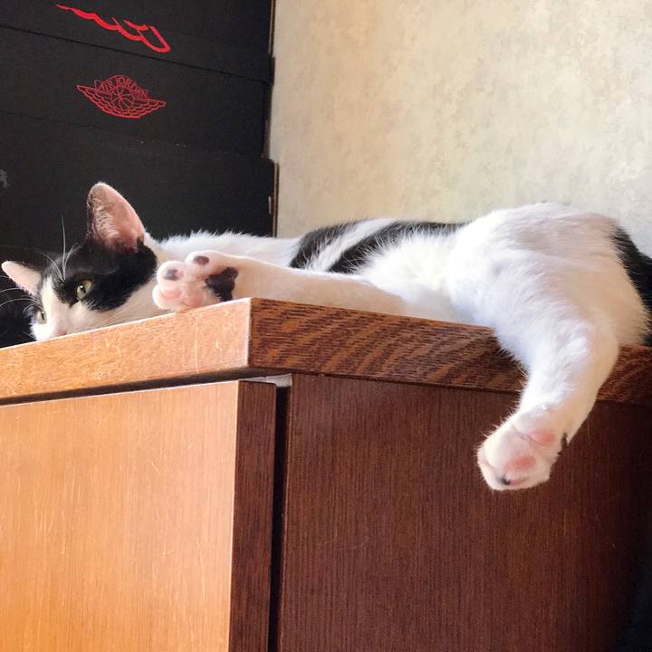 D31bfb59 e1d1 497f b38d b003d393045e