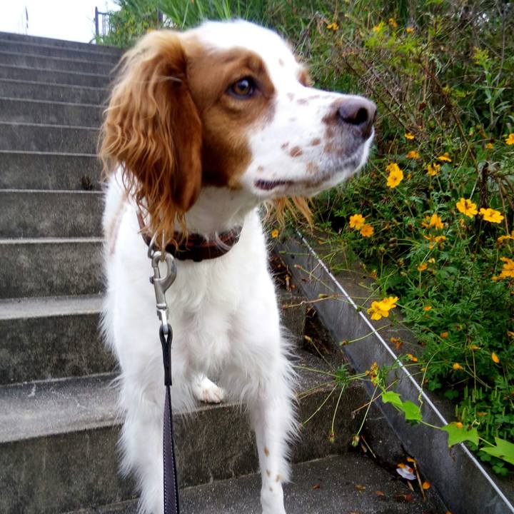 D31c8738 fd35 43fe 9a82 5673eb095961