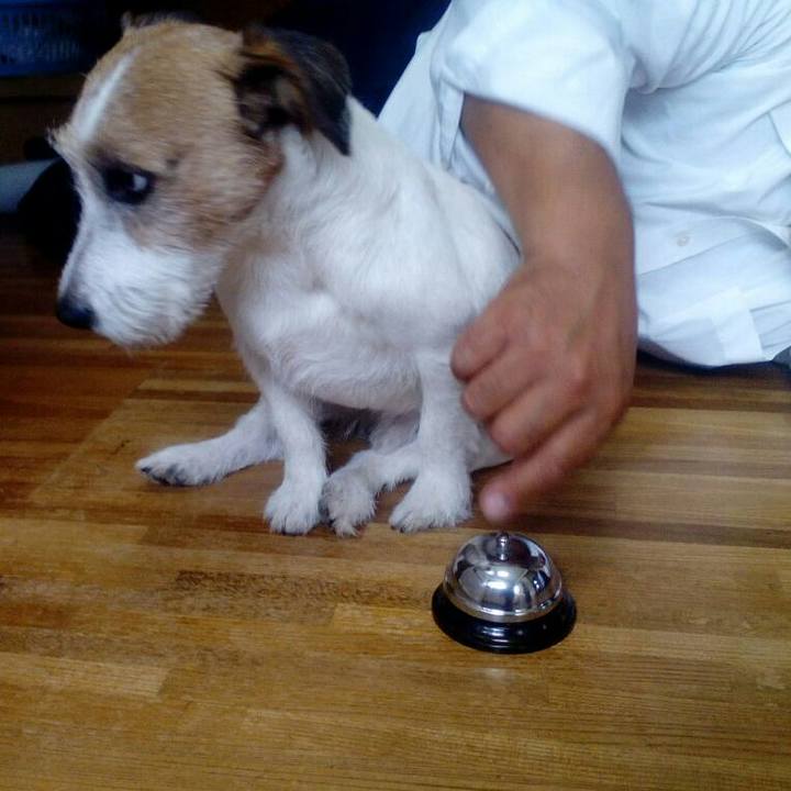 D31cd9a0 68b7 4bb7 9475 a03833944115