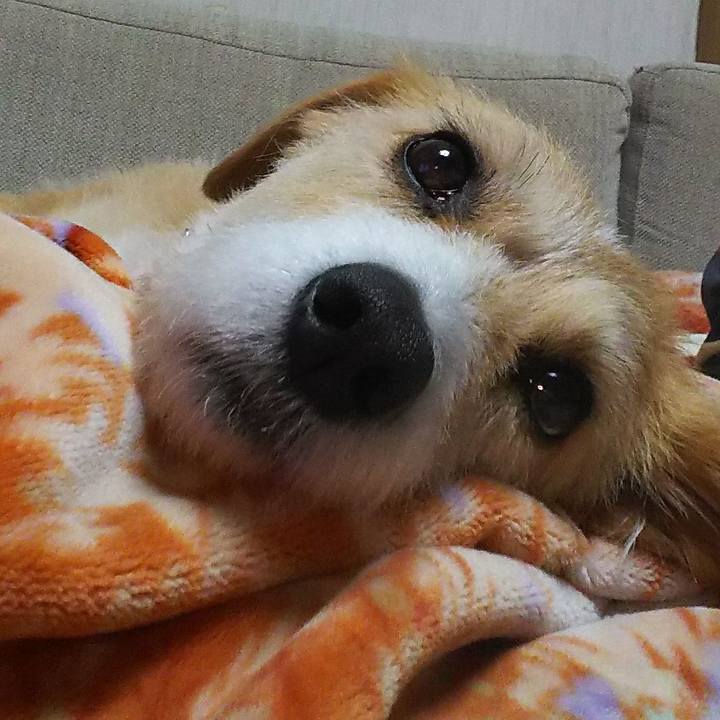 D31d21f8 b159 4a3c 994f cd68fd83f550