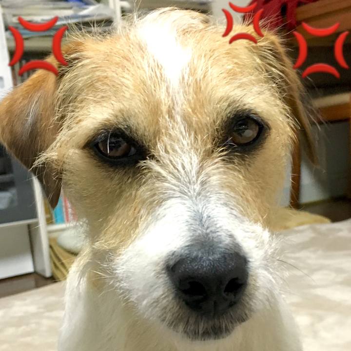 D31dea93 73e0 4fef 8065 659c5a23fa72