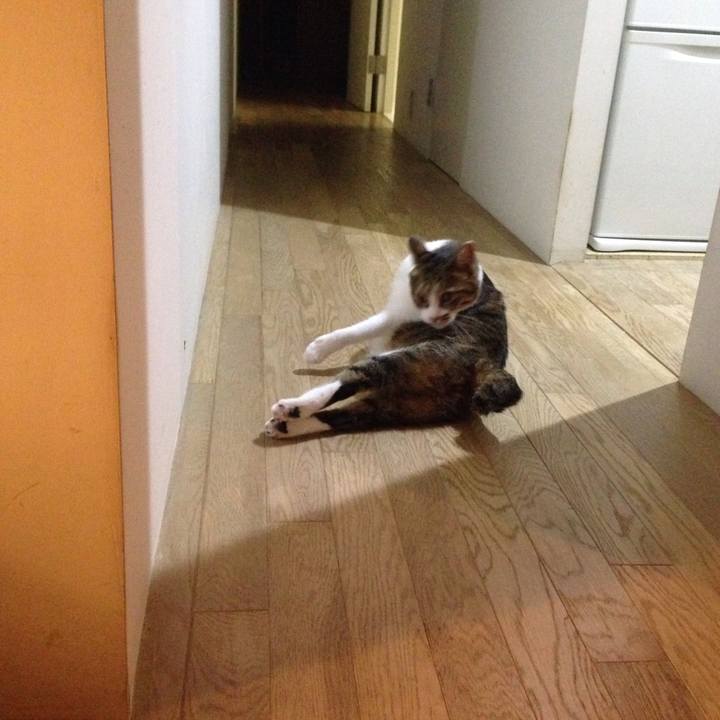 D31e0fa6 af16 4572 9760 2a3fe0050157