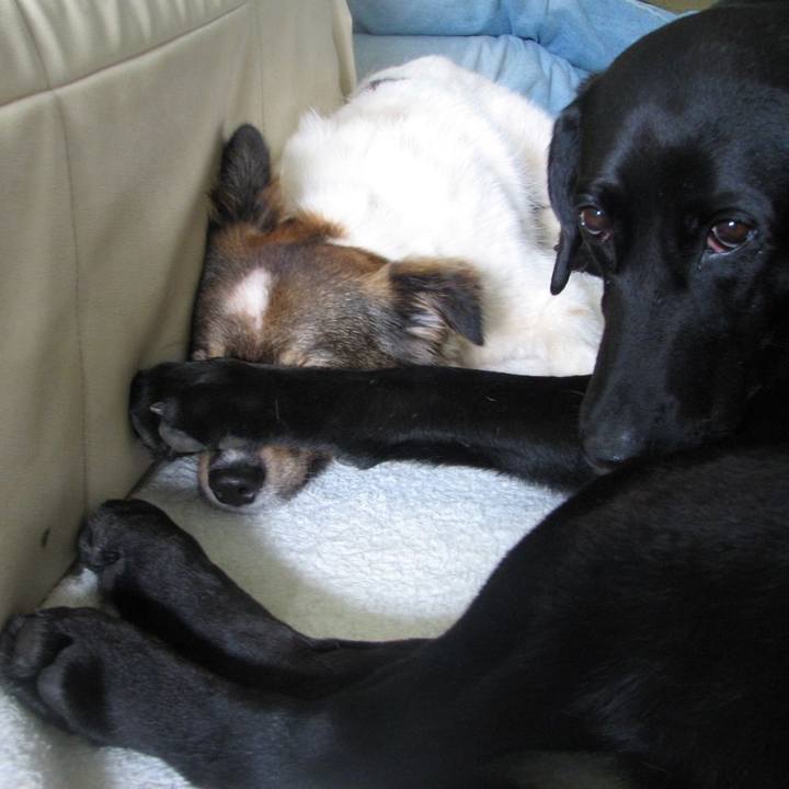 D31e55ca b04a 4e20 b22a ae1c566c2c5e