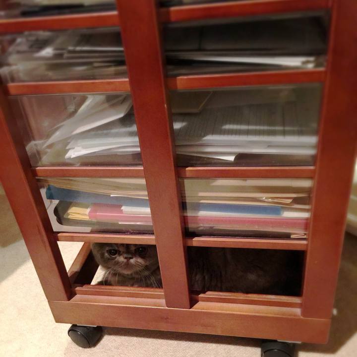 D31ead2a 896d 4dc3 b519 bcb50cbca556