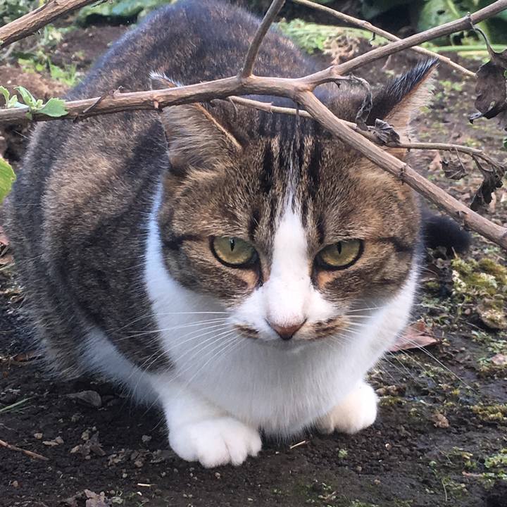 D31f5a2f f77e 41d3 9e9e 6d1a2bed6db5