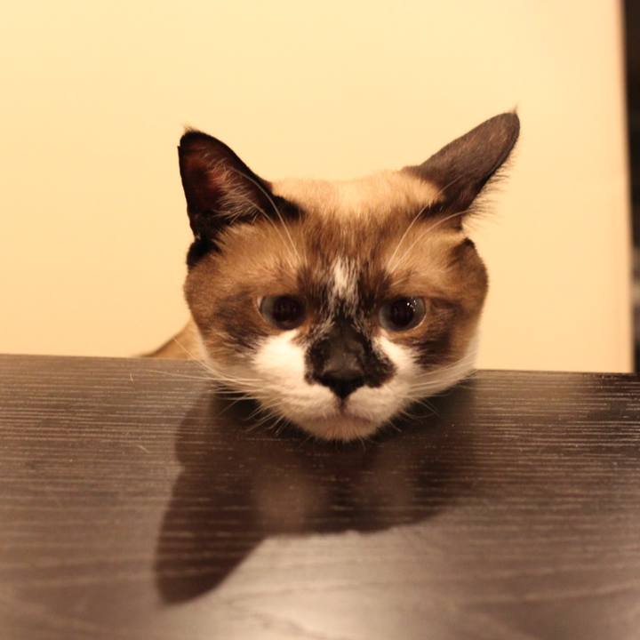 D31f5a86 ab8d 45c4 8469 08fe8cd91f23