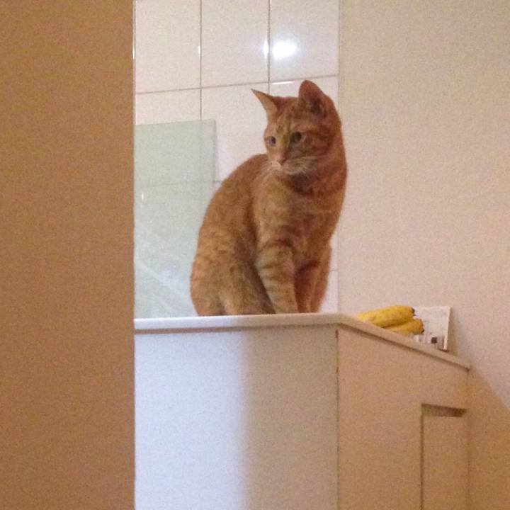 D31f804e ead4 4c56 a4af c78af1ea3db0