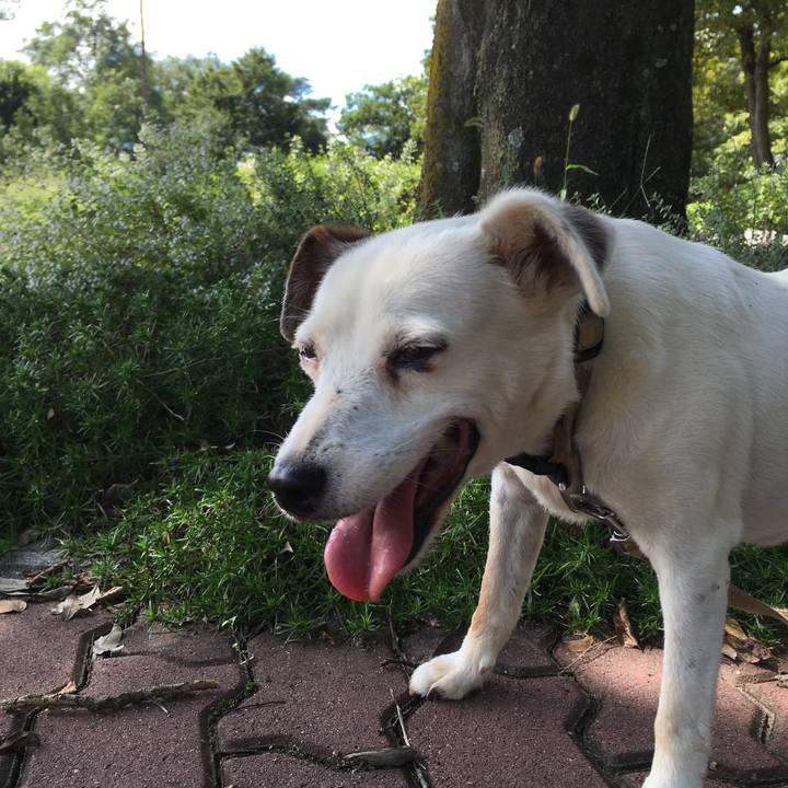 D3202207 7b8c 482e 8091 6de5cb14f33d