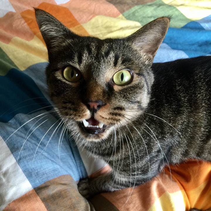 D321635a 6b00 41ce 8153 60f7dbf7e7e6