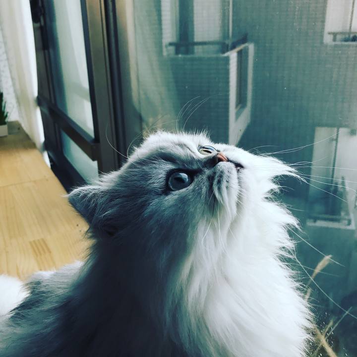 D321cce0 2860 4d58 ba48 c9c8c0c6cc27