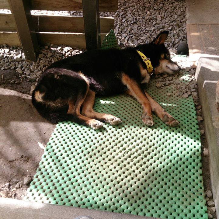 D3238085 cc99 4aea 8731 e6666c7343b4