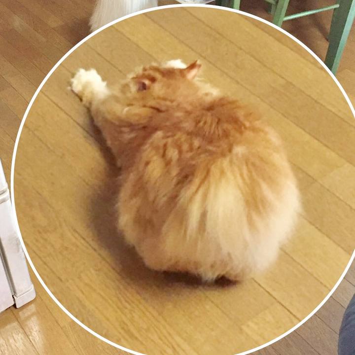 D323cd7b 9229 4d22 b22d c6bddc4c21d1