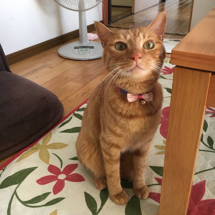 D3258106 1664 45d8 8eb6 72964fe1fd83